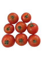 有機・無農薬栽培のミディトマト