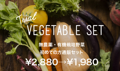 無農薬・有機栽培野菜　初めての方限定通販セット