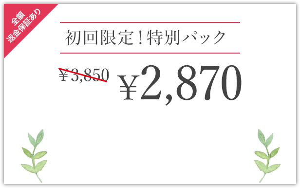 初回限定バナー