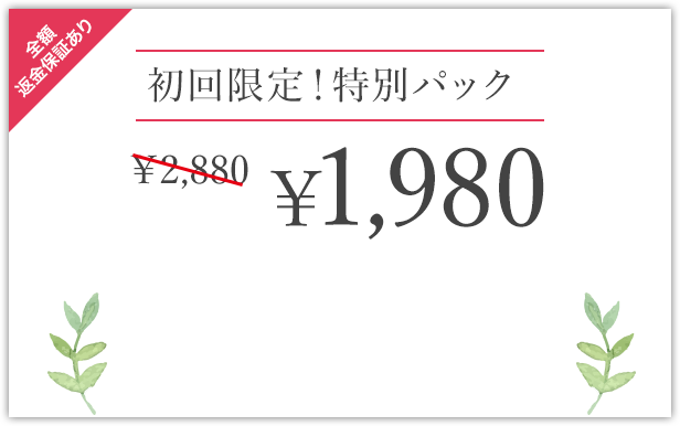 初回限定バナー