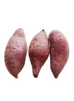 有機・無農薬栽培のサツマイモ