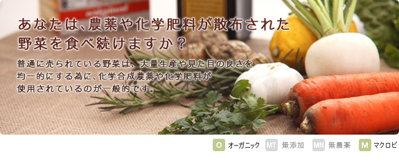 オーガニックBOX（有機・無農薬野菜）定期Mサイズ 毎月コース